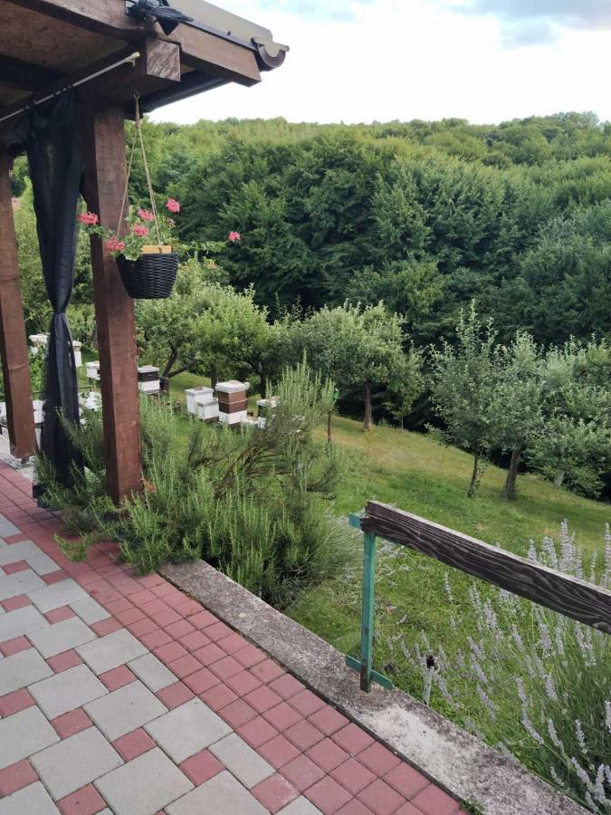 Guest House Bee วิโซโค ภายนอก รูปภาพ
